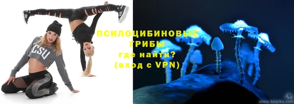 ГАЛЛЮЦИНОГЕННЫЕ ГРИБЫ Верхнеуральск