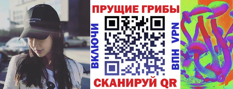 Псилоцибиновые грибы мицелий  дарнет шоп  Торопец 